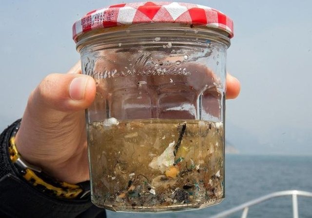 如果知道海洋中的塑料垃圾會進(jìn)入人類肚子，你還會丟嗎？