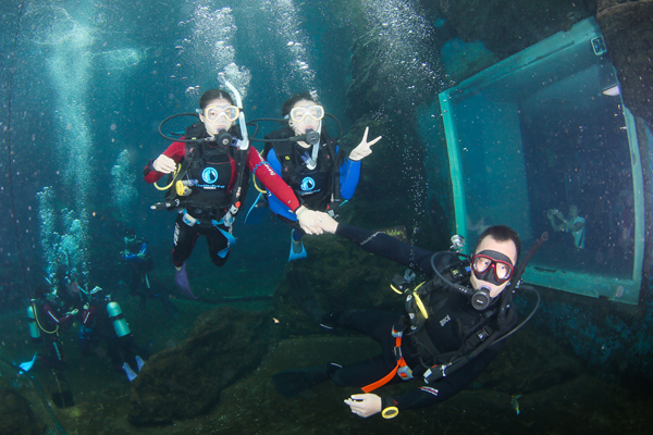 12/12正式上線！PADI 最新課程【休閑潛水員Resort Diver】 丨 一天拿證，潛遍全球