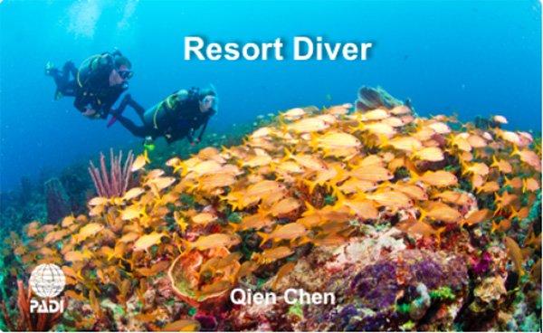 12/12正式上線！PADI 最新課程【休閑潛水員Resort Diver】 丨 一天拿證，潛遍全球