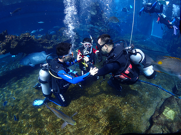 12/12正式上線！PADI 最新課程【休閑潛水員Resort Diver】 丨 一天拿證，潛遍全球